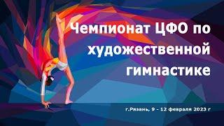 11.02 Чемпионат ЦФО по художественной гимнастике