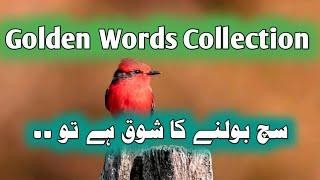 Motivation video 2023 | best quotes in urdu | Charagh E Manzil