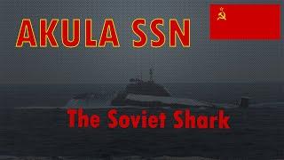 Akula SSN Sub Brief