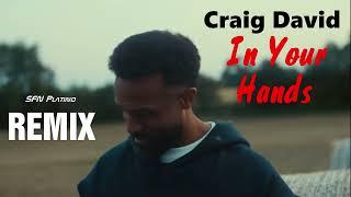 Craig David - In Your Hands (SFN Platino Remix)