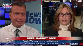 MARKET DIVE: Fox Reporter Deirdre Bolton Live from the Stock Market Floor