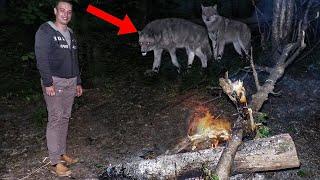 10 Times Camping Went Terribly Wrong!