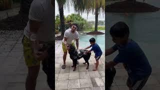 Mom catches dad and son washing dog outside in the rain #shorts