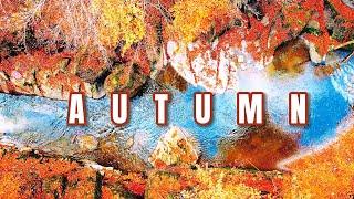 Enchanting Autumn Nature Scenes - Relaxing Music for Stress Relief