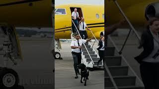 Loyal Angel Dog’s Warning Saves Everyone From Disaster! #rescue #animals #pets