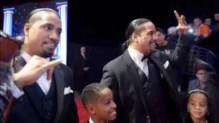 Wwe : WWE Hall Of Fame 2015 red carpet