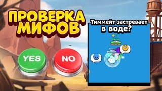 ПРОВЕРКА МИФОВ С ЕВОЙ BRAWL STARS