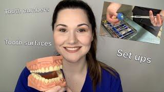 Dental assisting 101: The basics