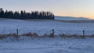 Second Sighting Of Huge Sasquatch In Rural Community