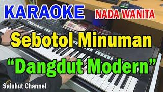 GARA GARA SEBOTOL MINUMAN ll KARAOKE DANGDUT MODERN ll REVINA ALVIRA ll NADA WANITA A MINOR