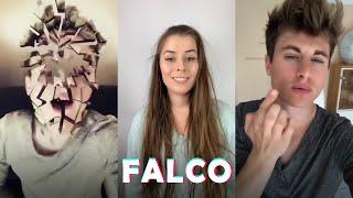 TikTok Falco (@falcopunch) - Best of Compilation 2020