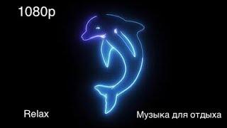 О чем говорят дельфины # Звук дельфинов # dolphin sound #