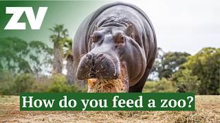 What does it take to feed a zoo?