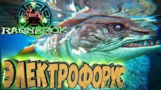 ПРИРУЧАЕМ ЭЛЕКТРОФОРУСА - ARK Survival Evolved Выживание на Ragnarok #29