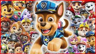 PAW Patrol Theme Song (Cover) - PAW Patrol