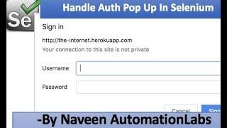 How to Handle Basic Authentication Pop Up in Selenium