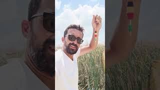TARLADA BALIK YETİŞTİRME - BALIKLARIMIZ DEV GİBİ OLDU -