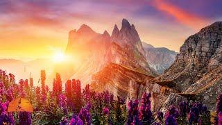 Blissful Awakening 432Hz: Tranquil Morning Music For New Positive Energy