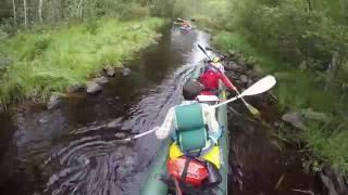 Водный поход по очень таежной реке Волома.