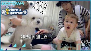 Zen: "I will pet Sarang one more time" l The Return of Superman Ep 430 [ENG SUB]