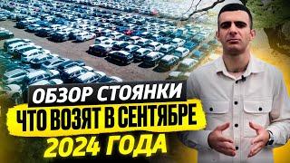 Обзор стоянки. Что возят в сентябре 2024 года?