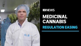 Australian medicinal cannabis industry on cusp of major expansion | ABC News