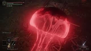 Elden Ring Где найти Медузный Щит/Jellyfish Shield Location