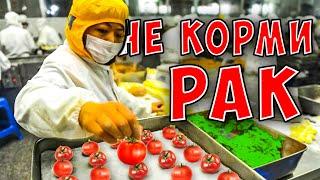 Не кормите РАК! Онкологи назвали Топ 5 продуктов вызывающие рак