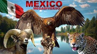 MEXICO MEGADIVERSO: La Gran Riqueza Natural de México