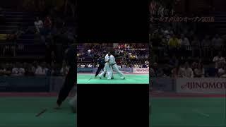 all American open karate tournament 2015, Alexander eremenko highlights #kyokushinway