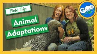 Adaptations at Animal Wonders - Field Trip