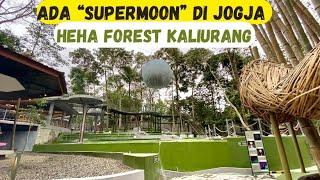 HEHA FOREST KALIURANG | WISATA ALAM TERBARU DI PEGUNUNGAN YANG SEJUK