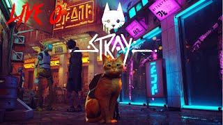 STRAY! by BlueTwelve Studio