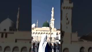 Aapka Na Daulat De Na Nusrat De Mujhe Bus Yah Saadat De  By Hafiz Tahir Qadri Naat #shorts #naat