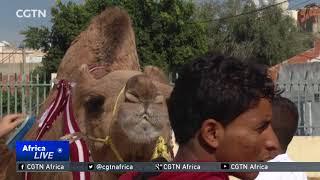 New agricultural technologies on display in Tunis