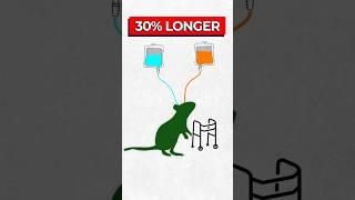 Scientists Extend Mice Lifespan by 30%