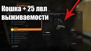 Как легко получить кошку в начале игры dying light + дюп на вещи