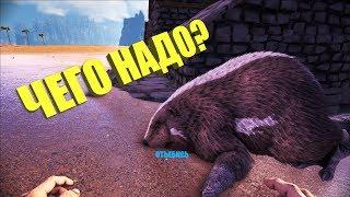 Приручение бобра и фарм болот - ARK The Center | АРК Центр # 9