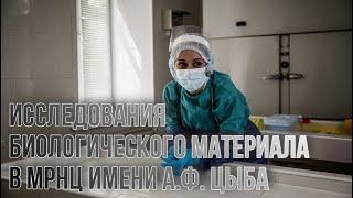 Исследования биологического материала в МРНЦ имени А.Ф. Цыба