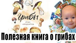 "Грибы. Атлас определитель", автор Михаил Вишневский. Книга про грибы. Детская книга о грибах.