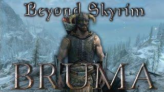 Bruma in Skyrim! (Beyond Skyrim: Bruma)