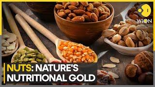 Nuts: Centenarians' Healthy Choice | World News | WION