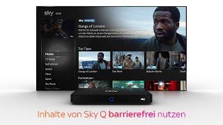 Sky Service Tutorial - Barrierefreiheit