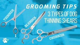 3 types of thinning scissors for dogs | Grooming Tips - TRANSGROOM