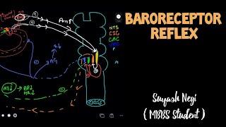 Baroreceptor Reflex