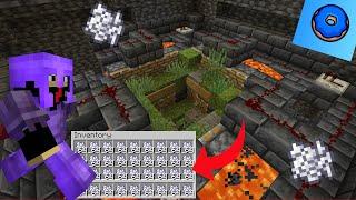 building a HUGE BONE MEAL FARM on Donut SMP