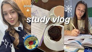 study vlog | winter edition