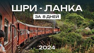 ШРИ ЛАНКА ЗА 8 ДНЕЙ лучший отдых у океана | незабываемое путешествие на край света стоит ли ехать?