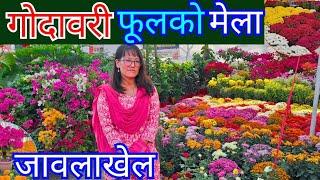 17th Chrysanthemum Flora Expo 2024|| गोदावरी फूल मेला जावलाखेल/part 2