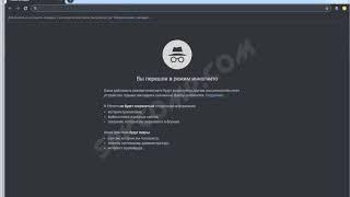 Режим инкогнито или приватный режим в браузере Google Chrome.